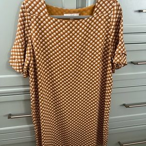 LOFT shift dress with belt. LP